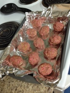 meatballs 5
